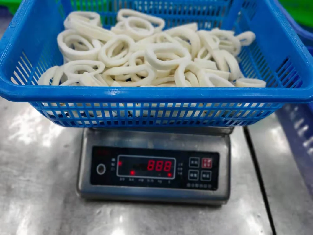 Frozen Squid Ring/Anillas De Pota/Illex Squid Rings/Todarodes Squid Rings/Gigas Squid Rings/Frozen Seafood