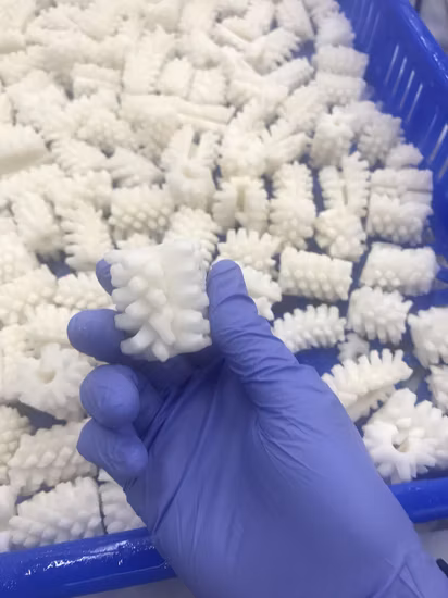 Frozen Illex/Gigas Squid Calamari Pota Sotong Flower Cut