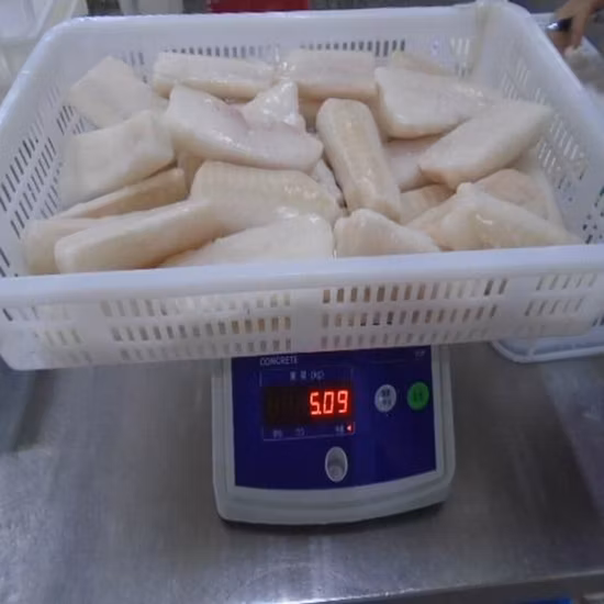 IQF Frozen Atlantic Cod Portion